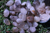 Rutilated Quartz Tumbled Stone-Cosmic Cuts