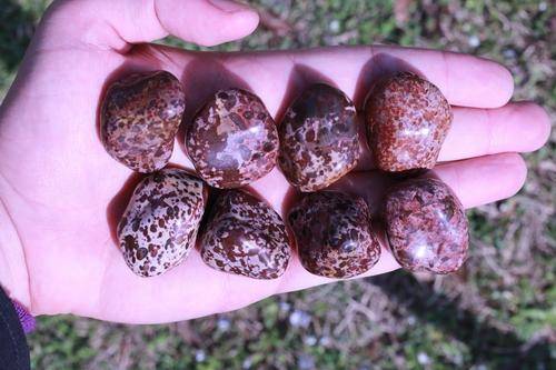 Tiger Jasper Tumbled Stone-Cosmic Cuts